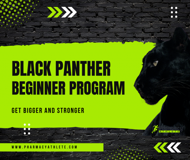 The Black Panther Beginner Program